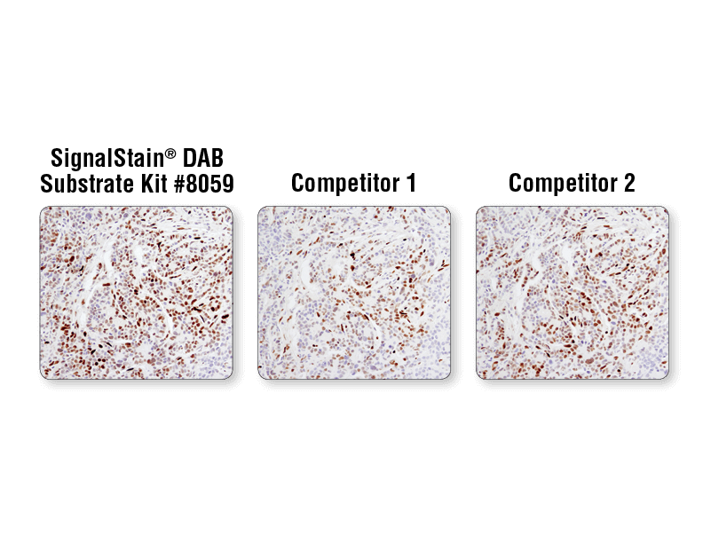 IHC DAB Substrate Performance